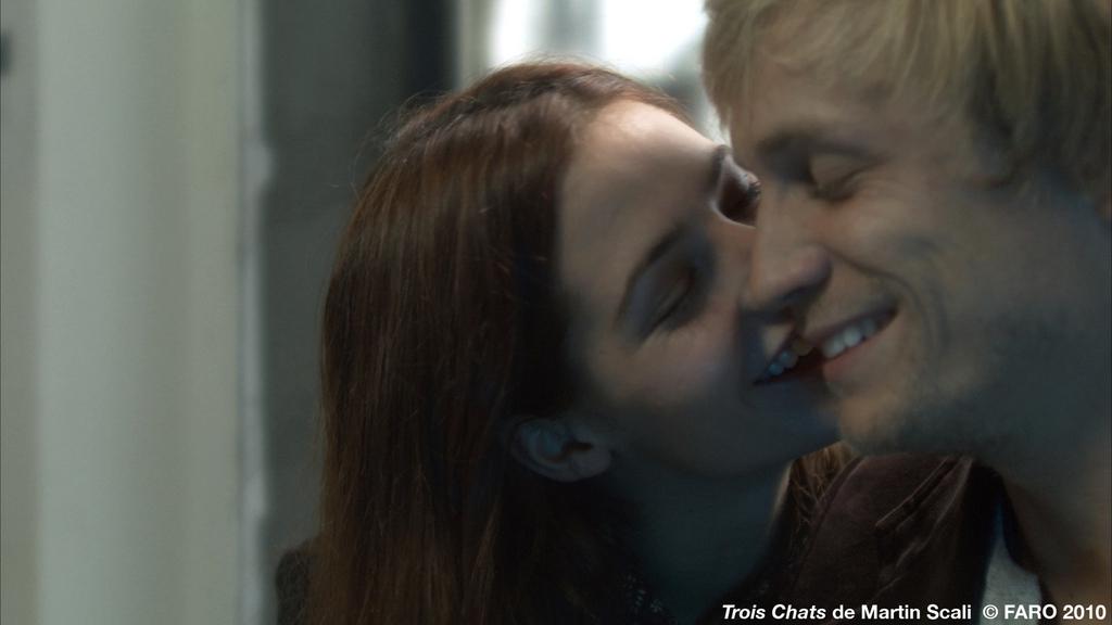 Three Cats Three Cats