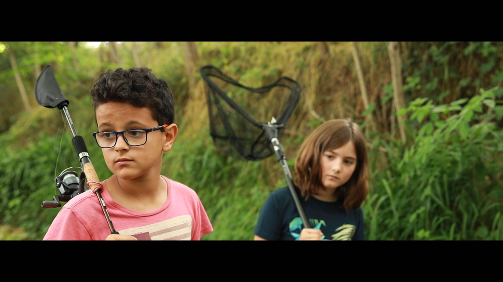 Dare or Not Dare or Not