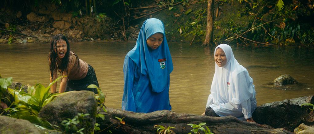 Tiger Stripes Tiger Stripes