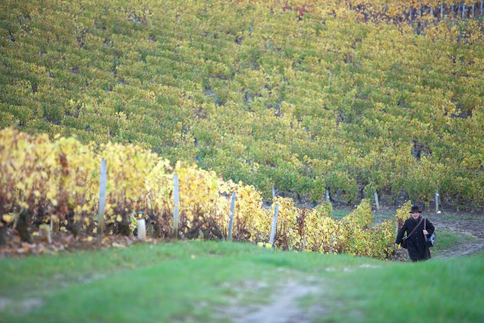 Our Fallen Heroes Our Fallen Heroes