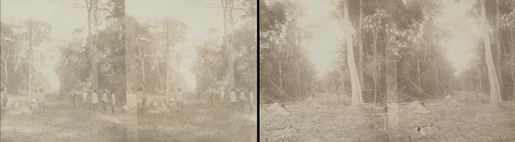 Au revoir Siam Au revoir Siam