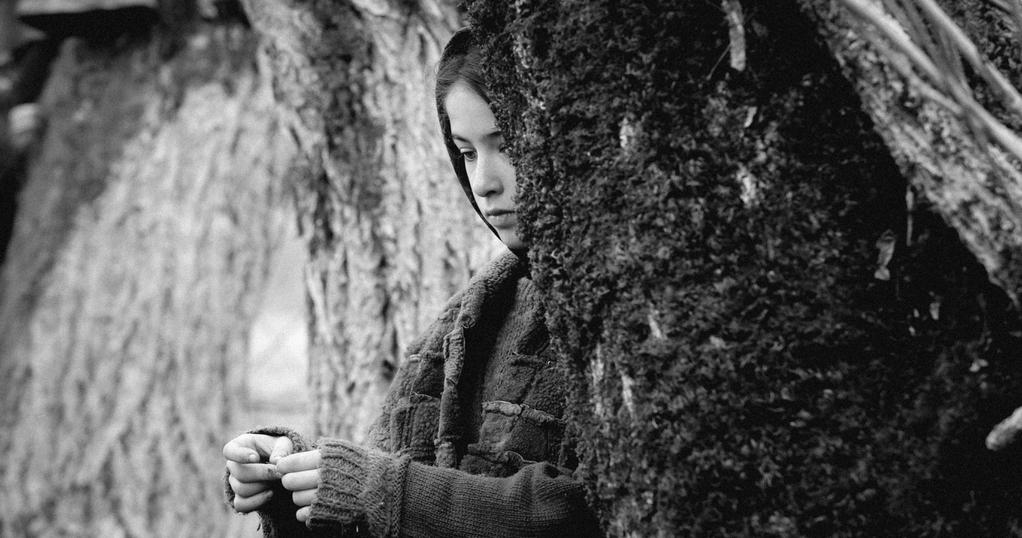 Winterthur International Short Film Festival - 2016 Winterthur International Short Film Festival - 2016