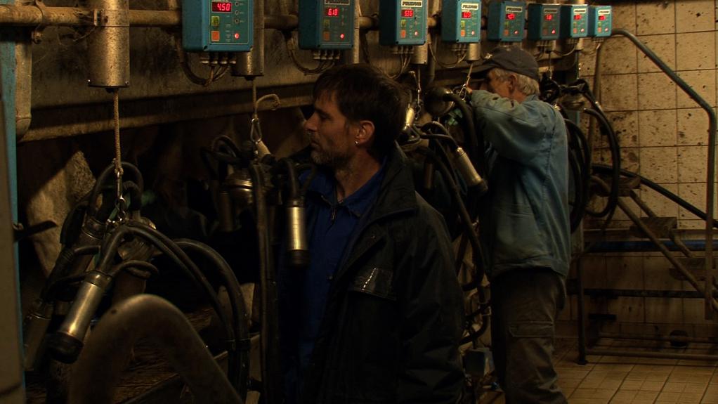 Fabien Tormos - &copy; Shellac