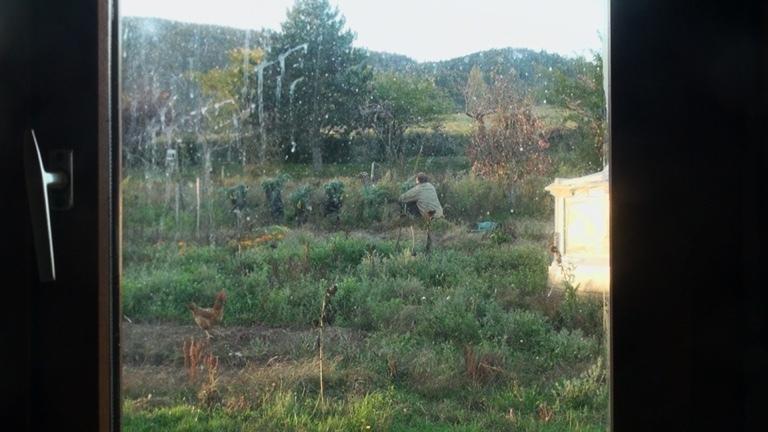 From Here to the Apple Tree - &copy; Les Films de l'autre cougar