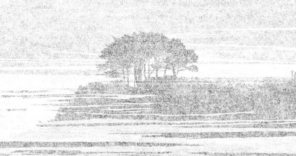 French Film Festival in Japan - 2020