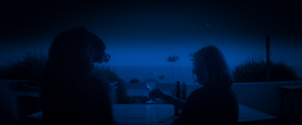 Le Bonheur est une bête sauvage Le Bonheur est une bête sauvage