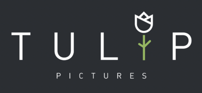 Tulip Pictures Tulip Pictures