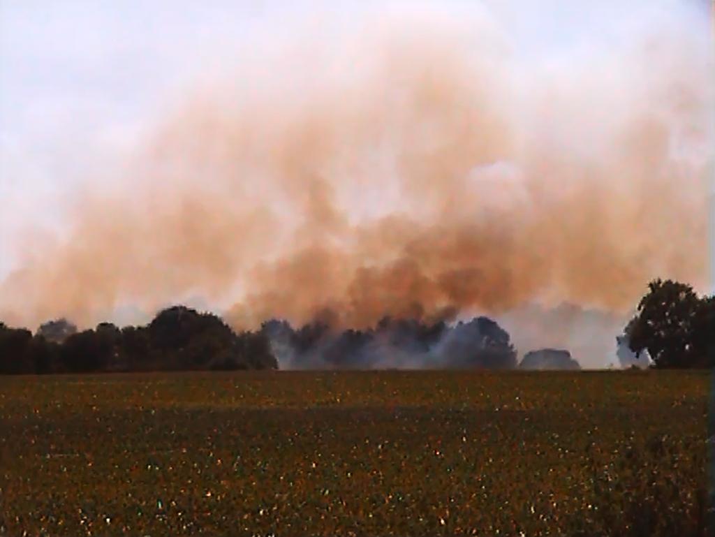 Swallowing Dust Swallowing Dust