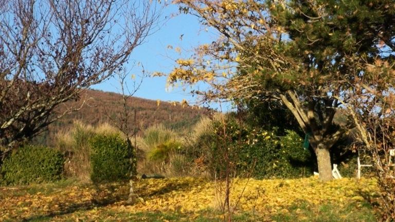 Comme d'ici au pommier - © Les Films de l'autre cougar Comme d'ici au pommier - © Les Films de l'autre cougar