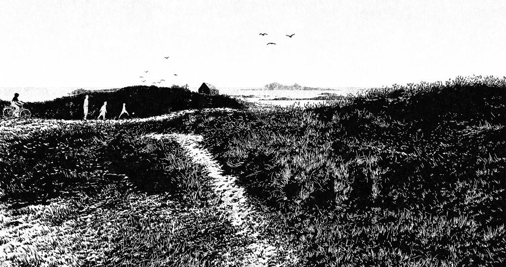 The Shoreline The Shoreline