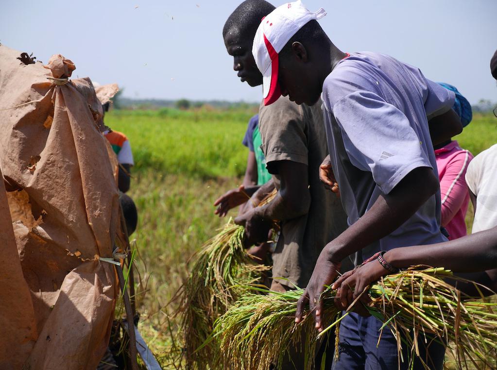 Yenepa - Une famille burkinabé Yenepa - Une famille burkinabé
