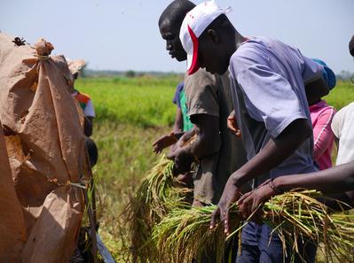 A Burkina Faso Family A Burkina Faso Family