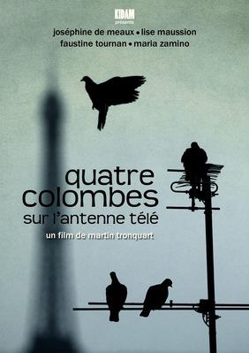 Quatre colombes sur l'antenne télé Quatre colombes sur l'antenne télé