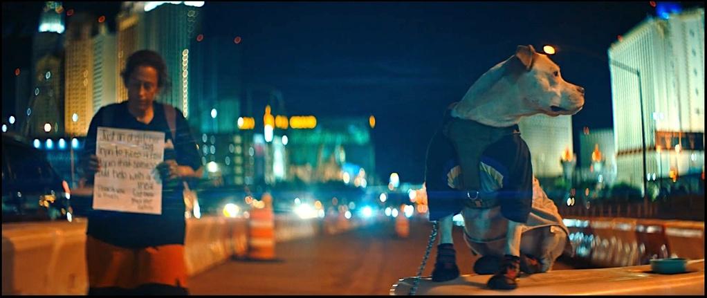 The Neon People The Neon People