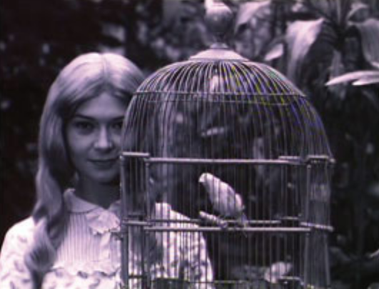 A Russian Orphan’s Revenge A Russian Orphan’s Revenge