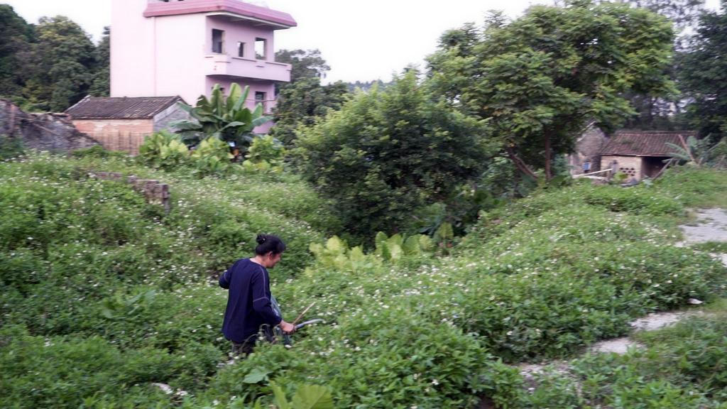 Guanzhou, une nouvelle ère Guanzhou, une nouvelle ère