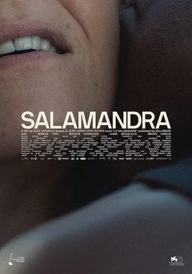 The Salamander The Salamander