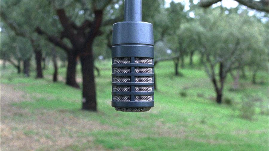 Galeria Z&eacute; Dos Bois