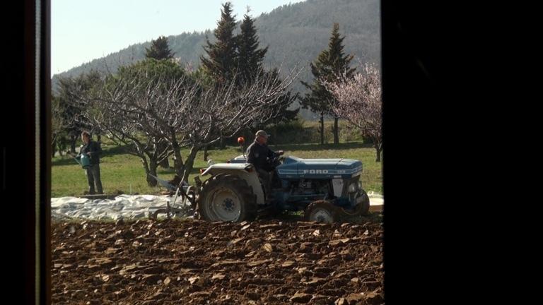 From Here to the Apple Tree - &copy; Les Films de l'autre cougar