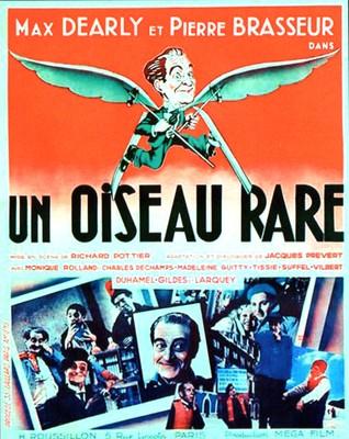 Un oiseau rare Un oiseau rare