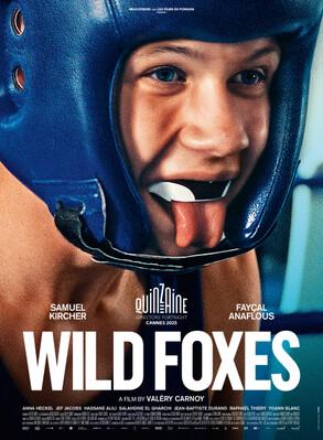 Wild Foxes Wild Foxes