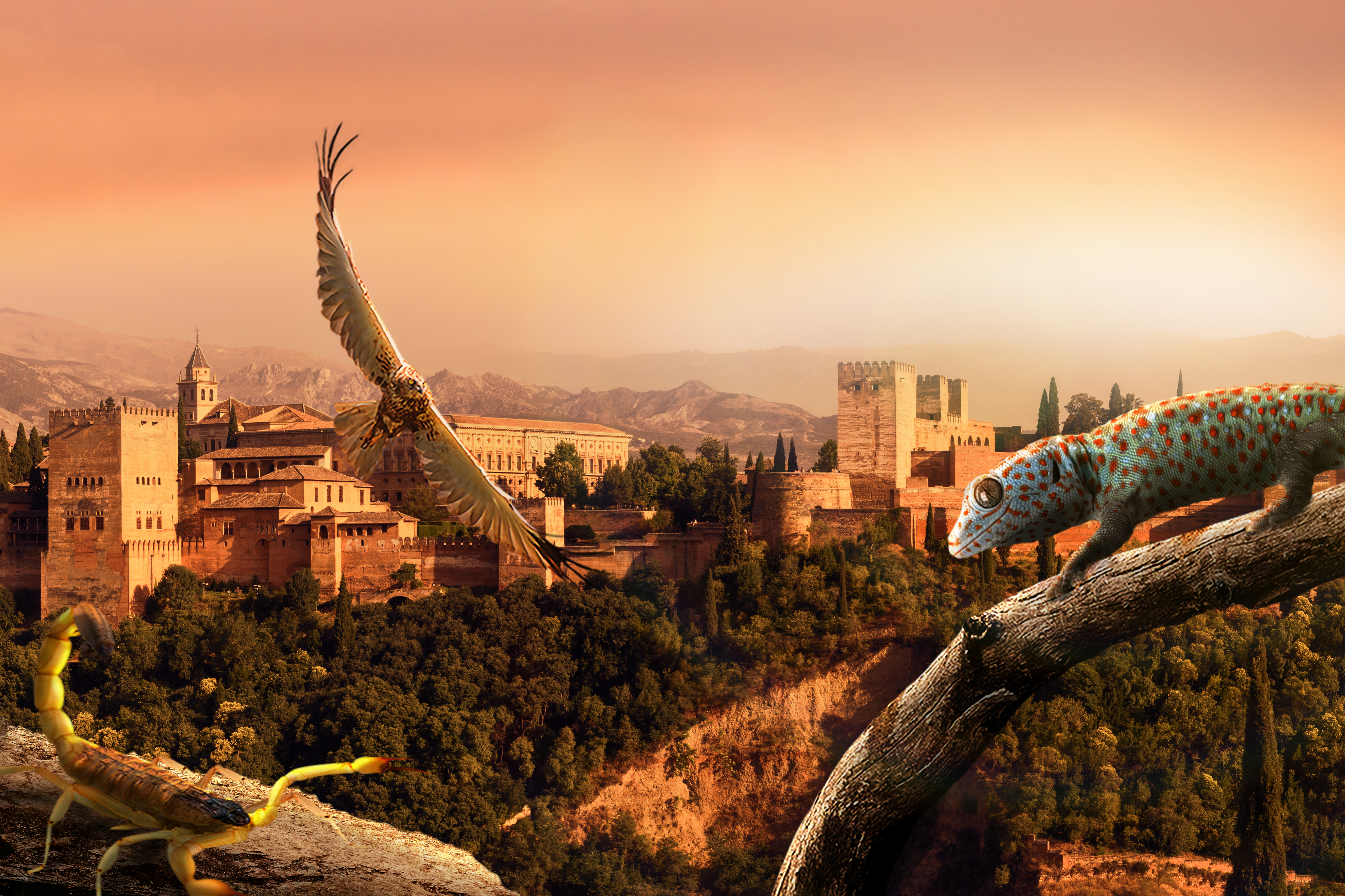 French TV Screenings 2024: 8 exclusive presentations of audiovisual programmes French TV Screenings 2024: 8 exclusive presentations of audiovisual programmes