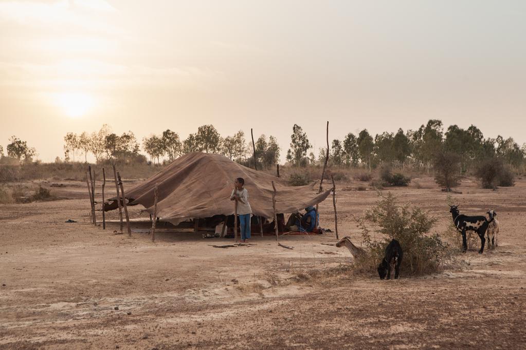 Abdoul Aziz Niki&eacute;ma - &copy; Rebecca Josset