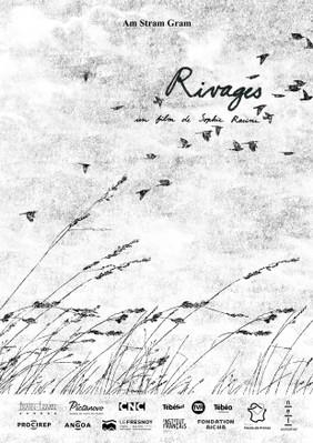 The Shoreline The Shoreline