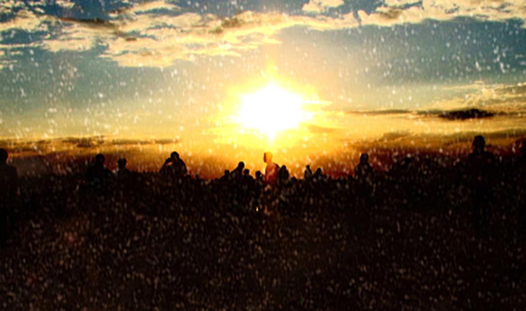 International Film Festival Rotterdam (IFFR) - 2017