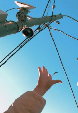 media - © VédAVision media - © VédAVision