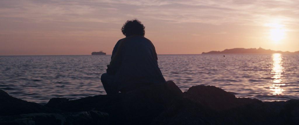 Dubai International Film Festival  - 2016