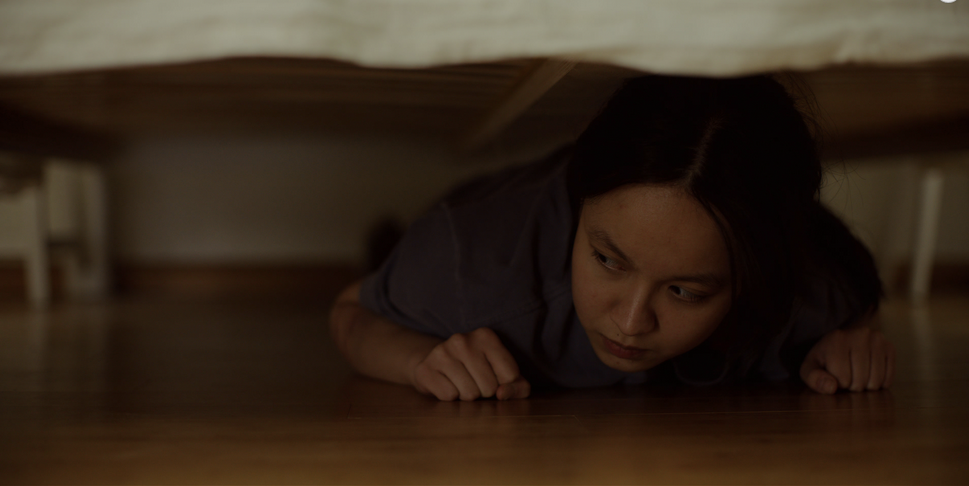 The Girl Sleeping on the Shelf