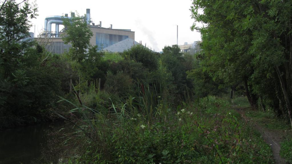 Hong Kong International Film Festival (HKIFF) - 2016 Hong Kong International Film Festival (HKIFF) - 2016