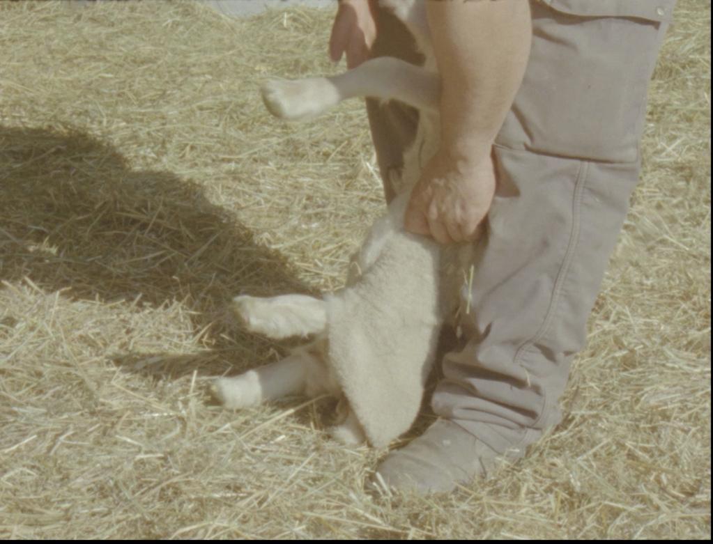 Syntonie d'une ruine Syntonie d'une ruine