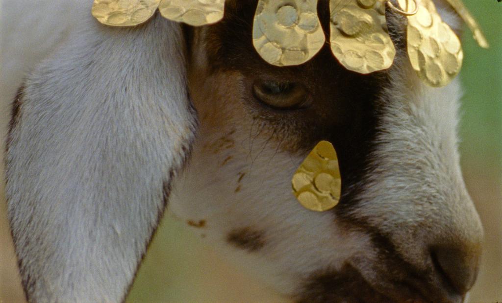 Les Saisons Les Saisons