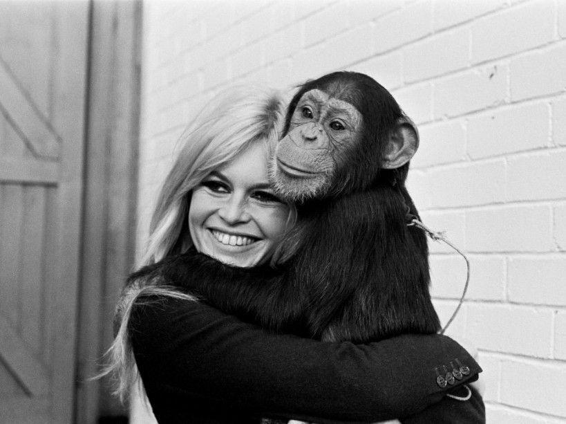 Brigitte Bardot, le serment fait aux animaux