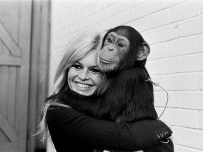 Brigitte Bardot, le serment fait aux animaux