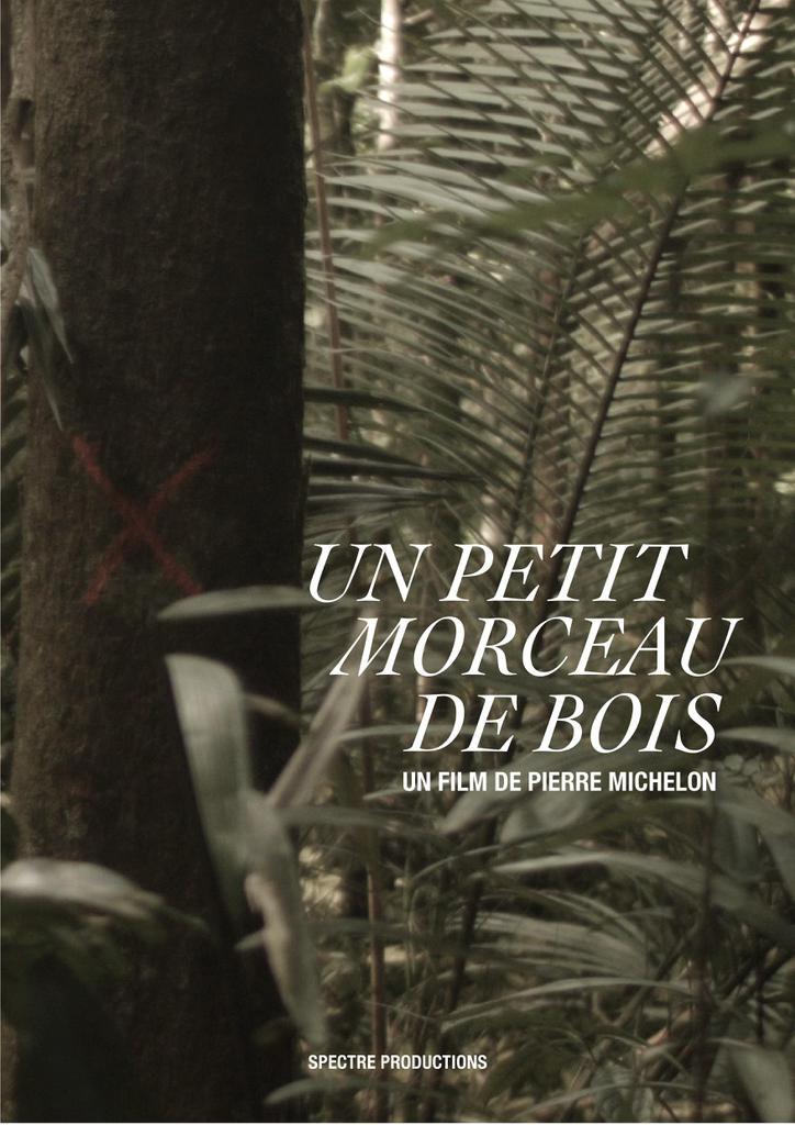 Un petit morceau de bois de Pierre Michelon (2014) Unifrance