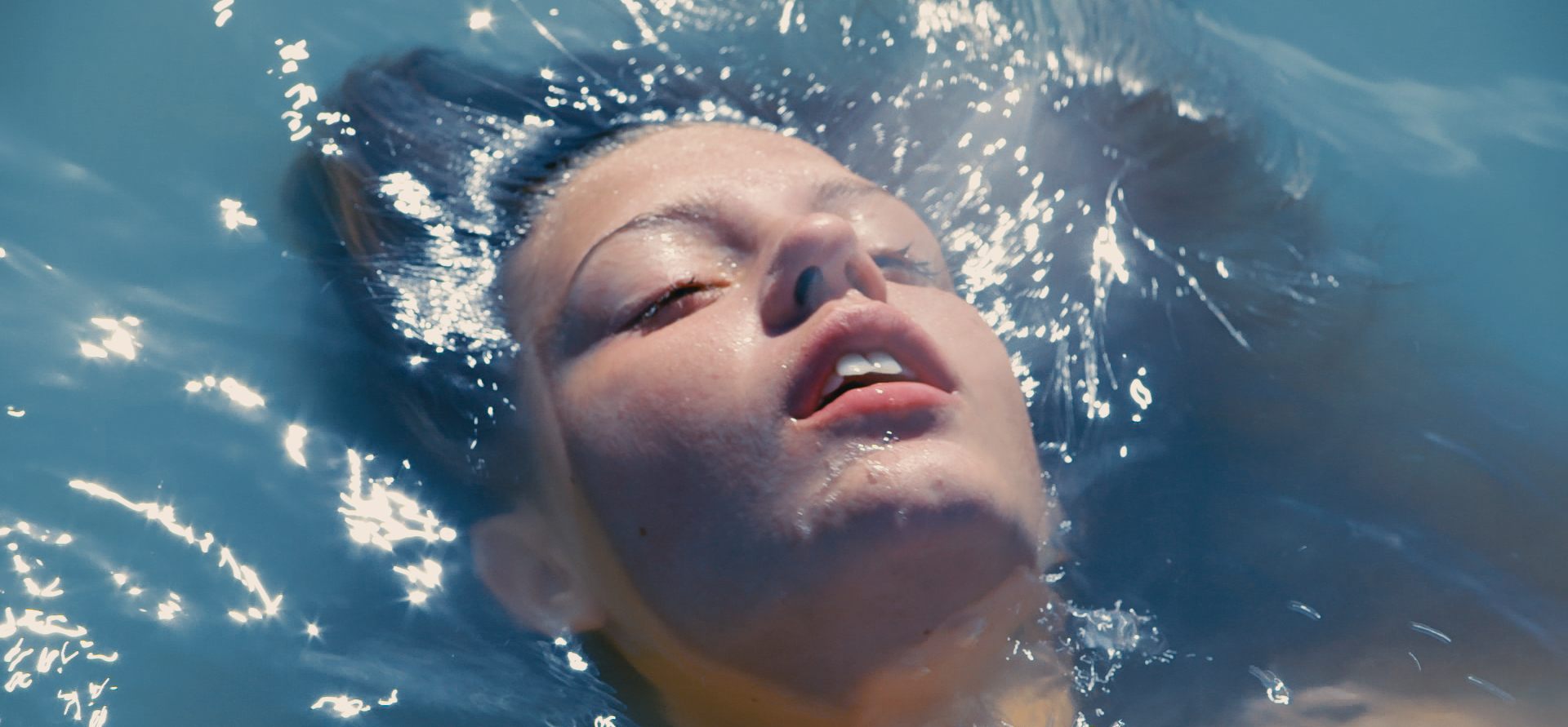 Blue is the Warmest Color picks up new awards in the USA Blue is the Warmest Color picks up new awards in the USA