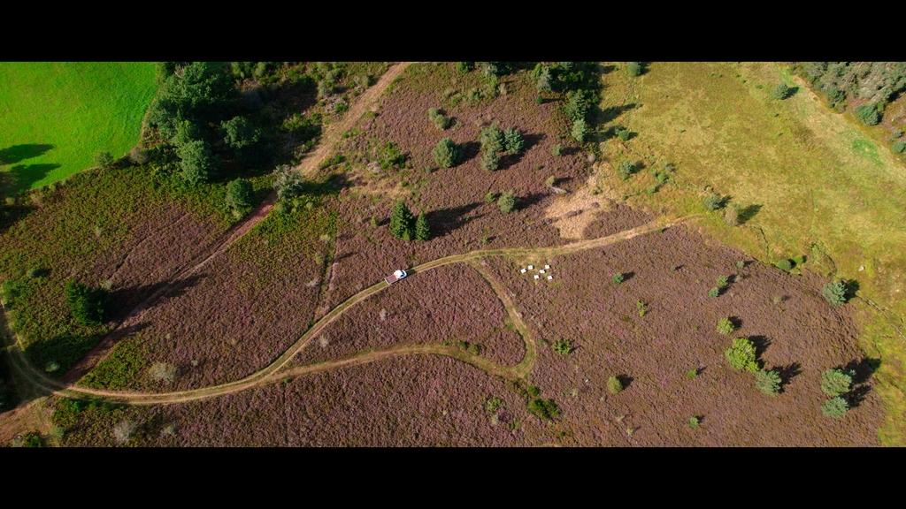 Seeds of Change - &copy; Haut et Court Doc