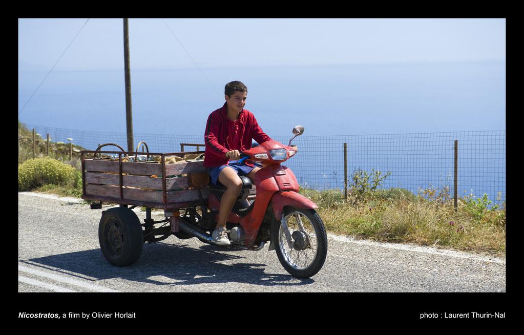 Nicostratos the Pelican Nicostratos the Pelican