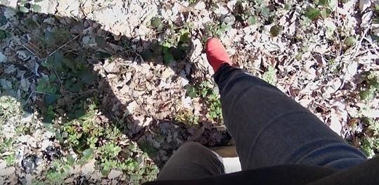 Elisa and Middle-earth Elisa and Middle-earth