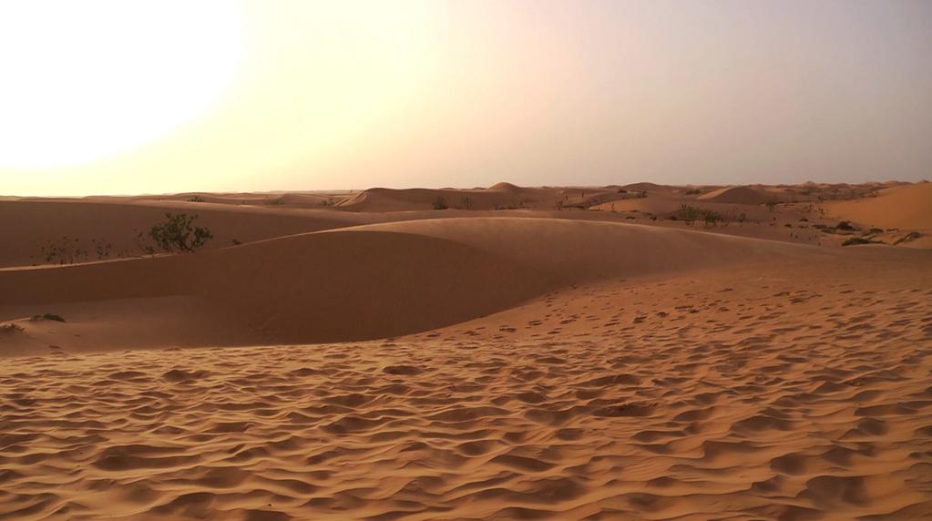 Speak Up Rap & Rim Speak Up Rap & Rim