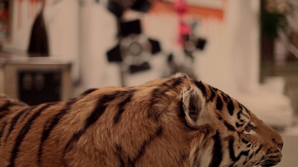 Les Bonnes Les Bonnes