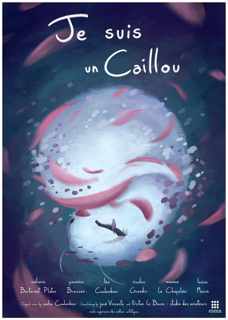 Je suis un caillou Je suis un caillou