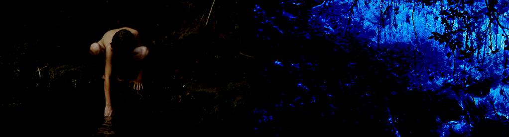 Curta Kinoforum - 2010 Curta Kinoforum - 2010