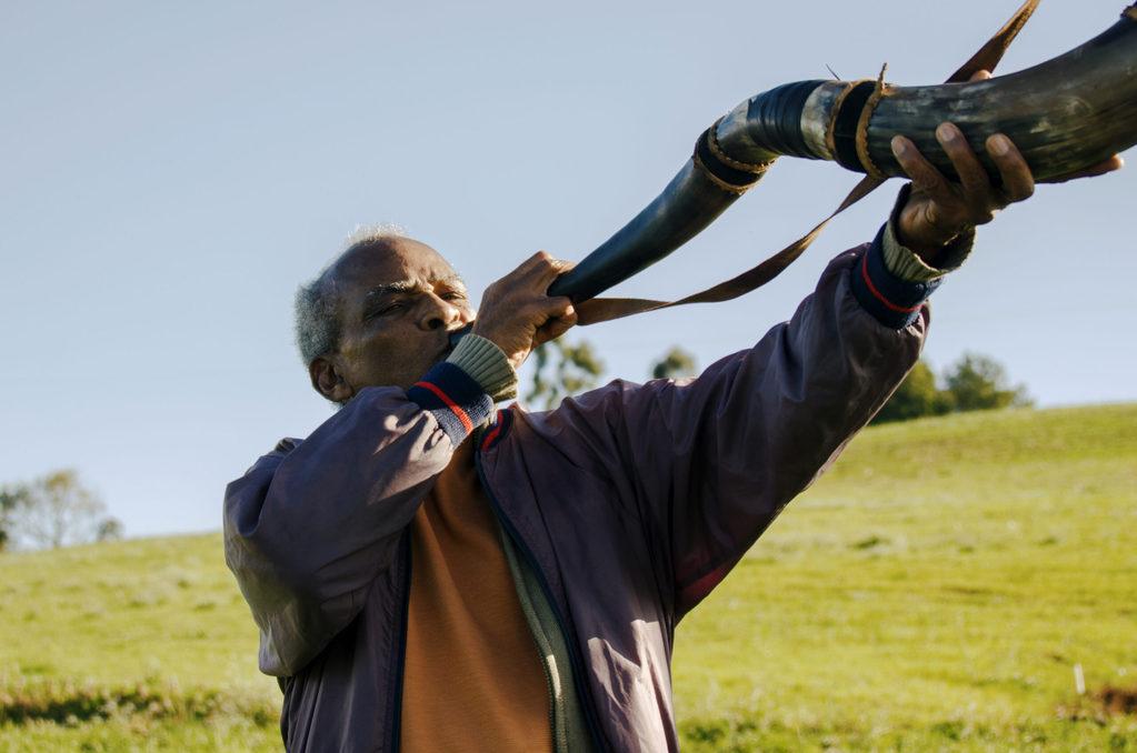 Memory House Memory House