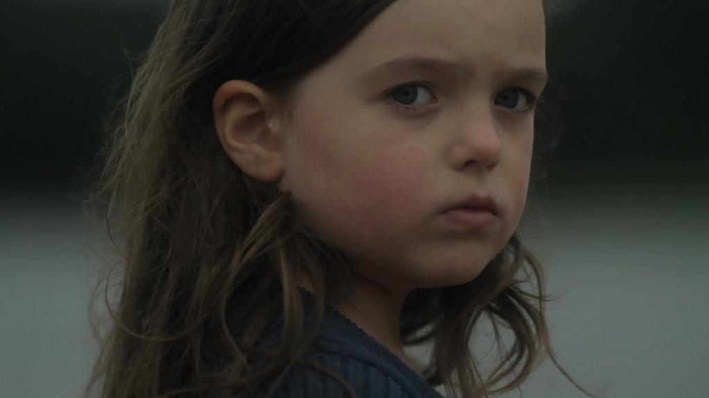 Festival des films du monde de Montr&eacute;al - 2012