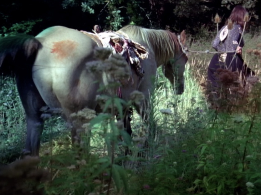 Y’a-t-il une vierge encore vivante ? Y’a-t-il une vierge encore vivante ?