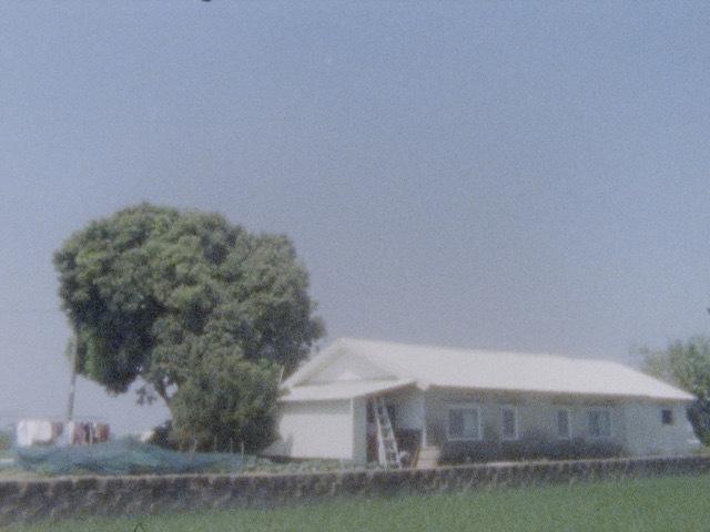 Last Year When the Train Passed By (L'An dernier quand le train passait) Last Year When the Train Passed By (L'An dernier quand le train passait)